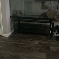 55-Gallon Aquarium with Premium 3-Shelf Black Glass Stand