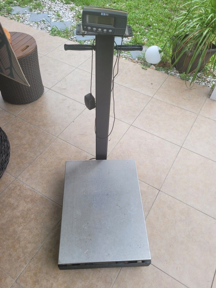 Commercial Weight Scale