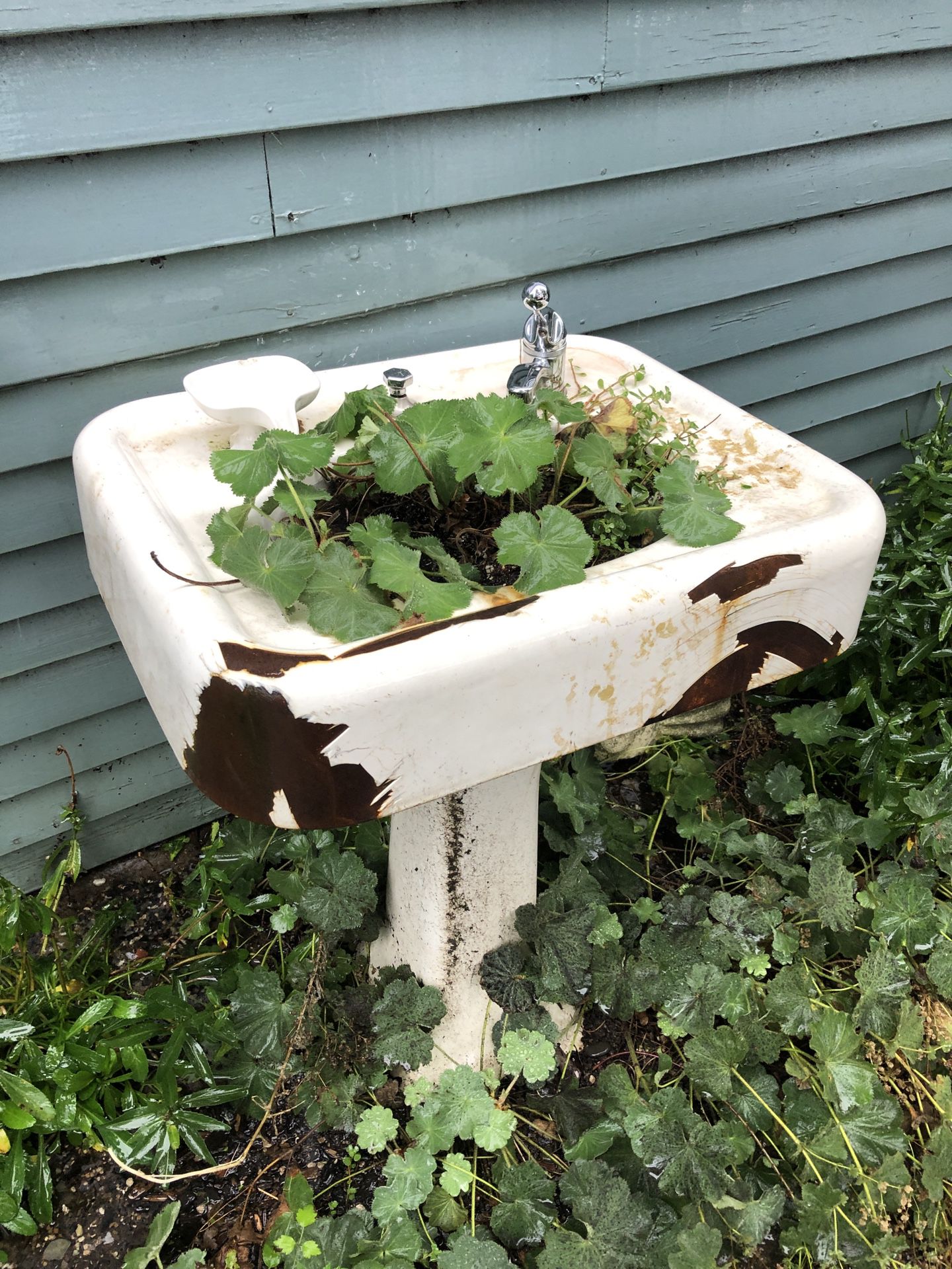 Free vintage sink- available