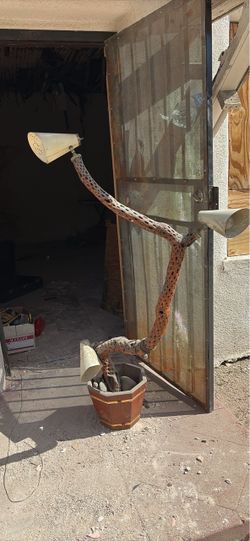 Vintage Cholla Cactus Skeleton Floor Lamp