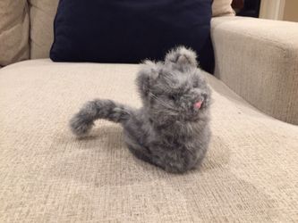 American Girl Cat