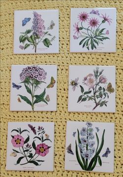 30 Portmeirion Botanic Garden Tiles