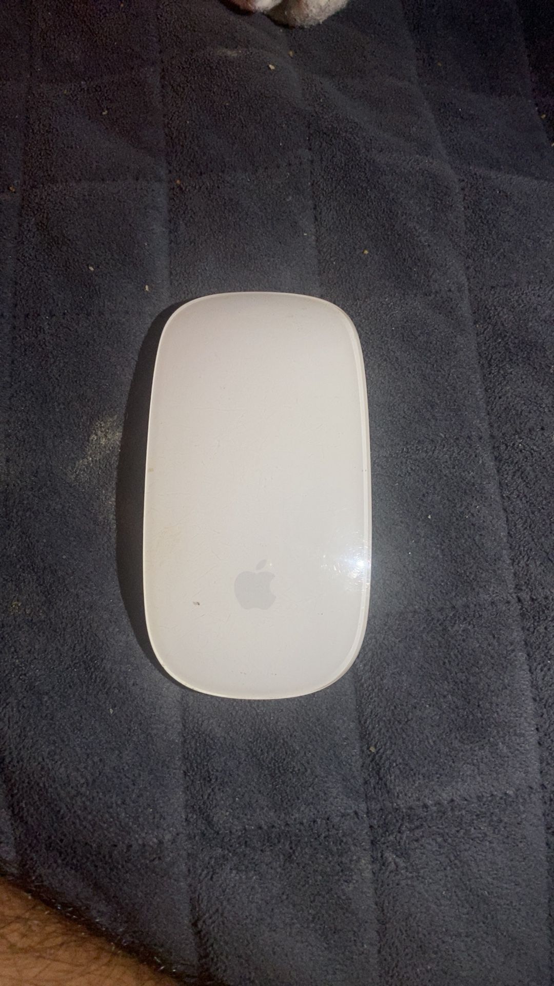 Apple Magic Mouse - Touch Surface - Rechargeable 