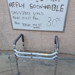 Toilet Frame Safety Rail