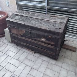 Very Old Trunk