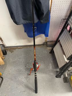 Berkeley Fusion spinning combo