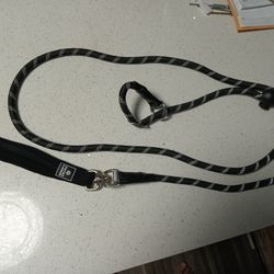 Dog Leash New 