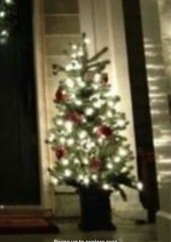 Xmas tree