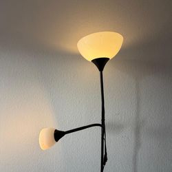 Standing lamp with reading light