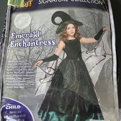 Witch / Fairy Costume 4-6