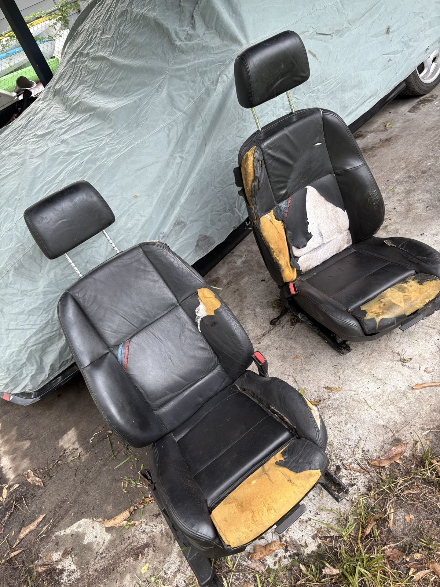 M3 Authentic Seats 