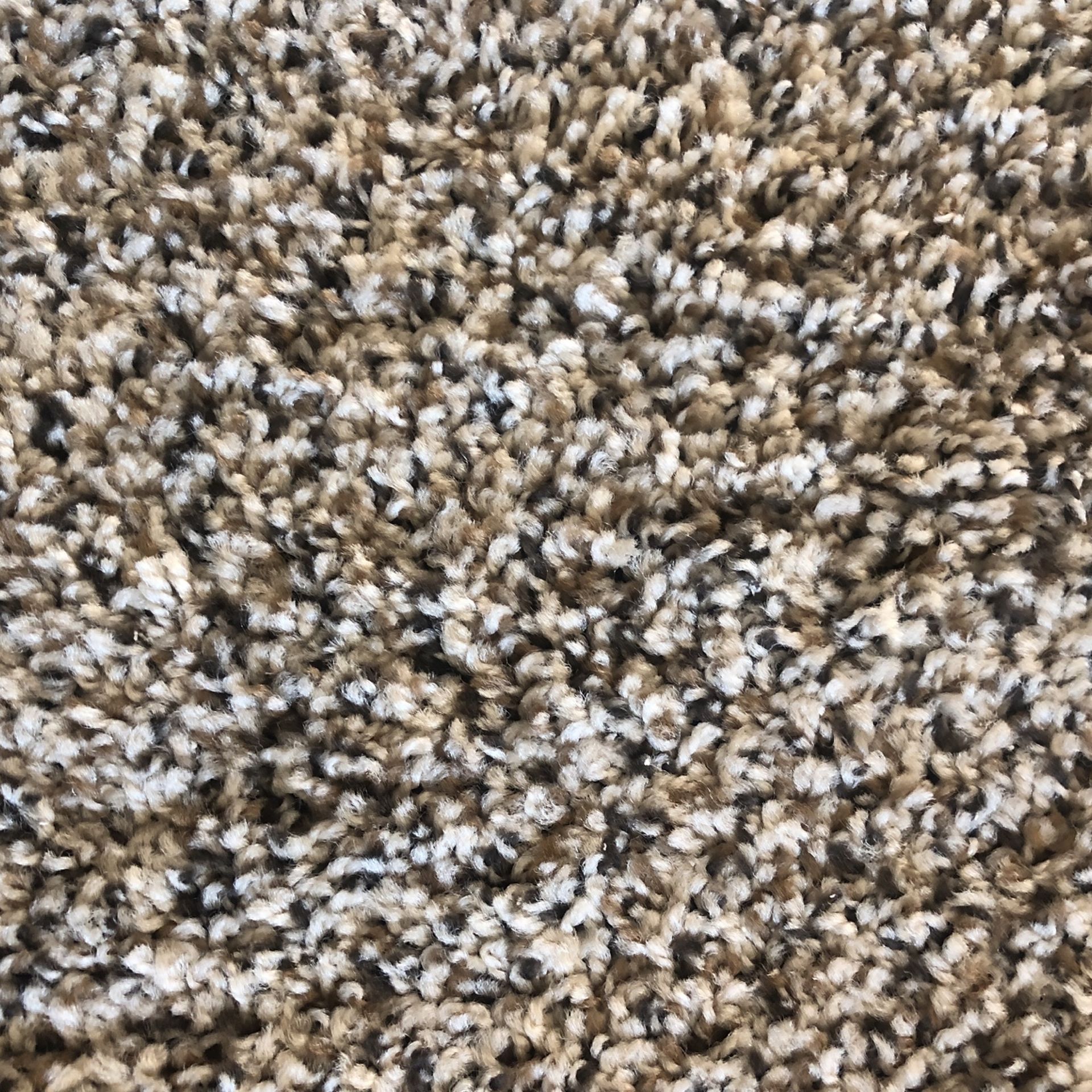 New Carpet Remnant 9x8 $100