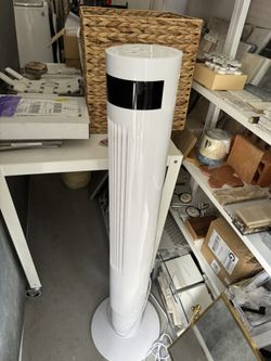 Standing Fan