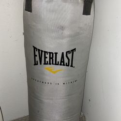 Punching Bag- Everlast, 100 lb