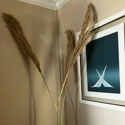 Decorative Sugar Cane Shoots 