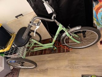 Adult Tricycle with Rear Basket