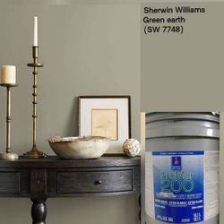 New 5 gallon interior paint 