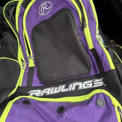 Softball Bag