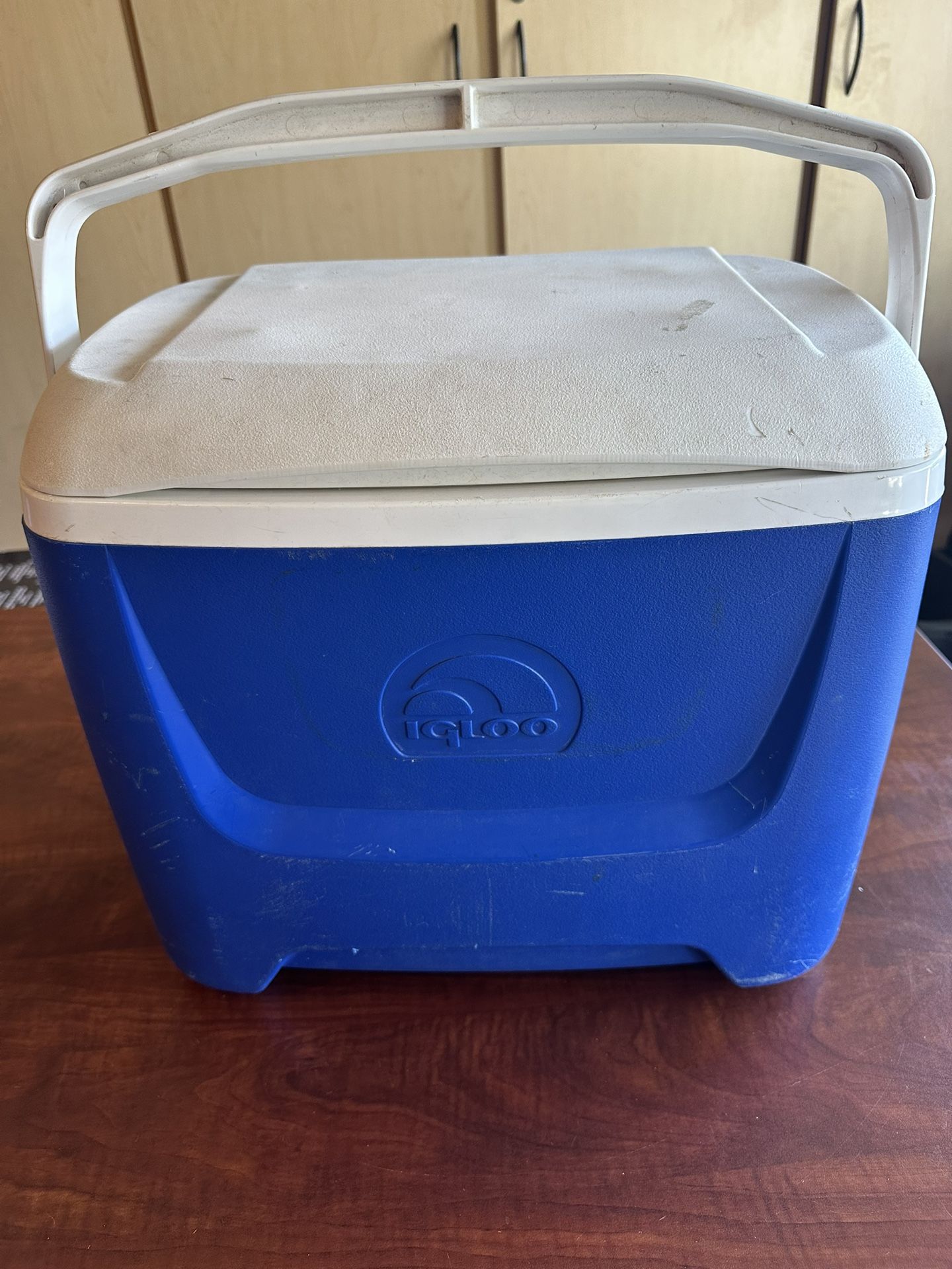 Igloo Small/Medium Cooler