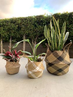 Seagrass Basket Woven Basket Plant Basket Boho Planter Bohemian Wicker Basket