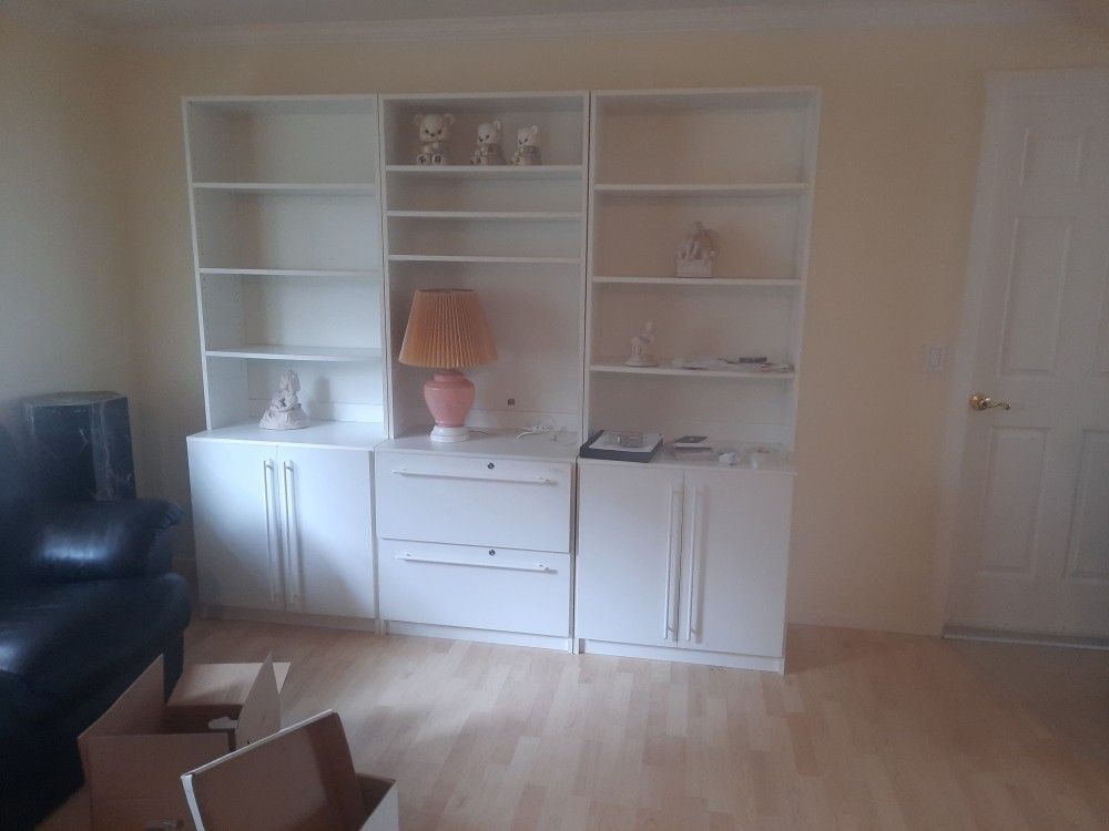 Bookcase Curio Cabinet