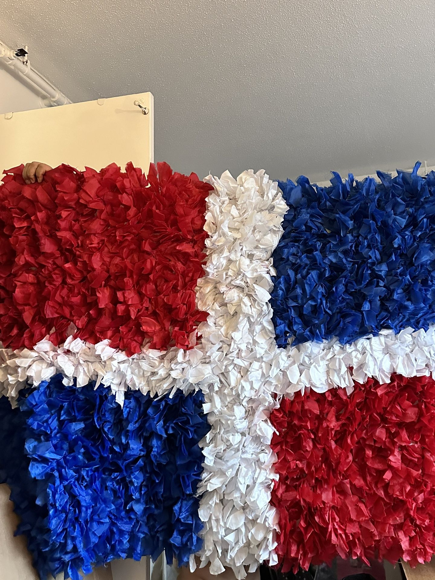 Dominican Flag