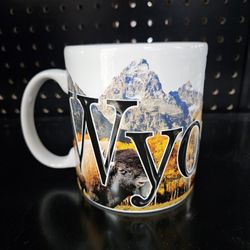 18oz Raised Lettering Wyoming Ceramic Mug, Dishwasher/Microwave Safe