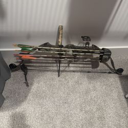 Bear Bow Left Handed