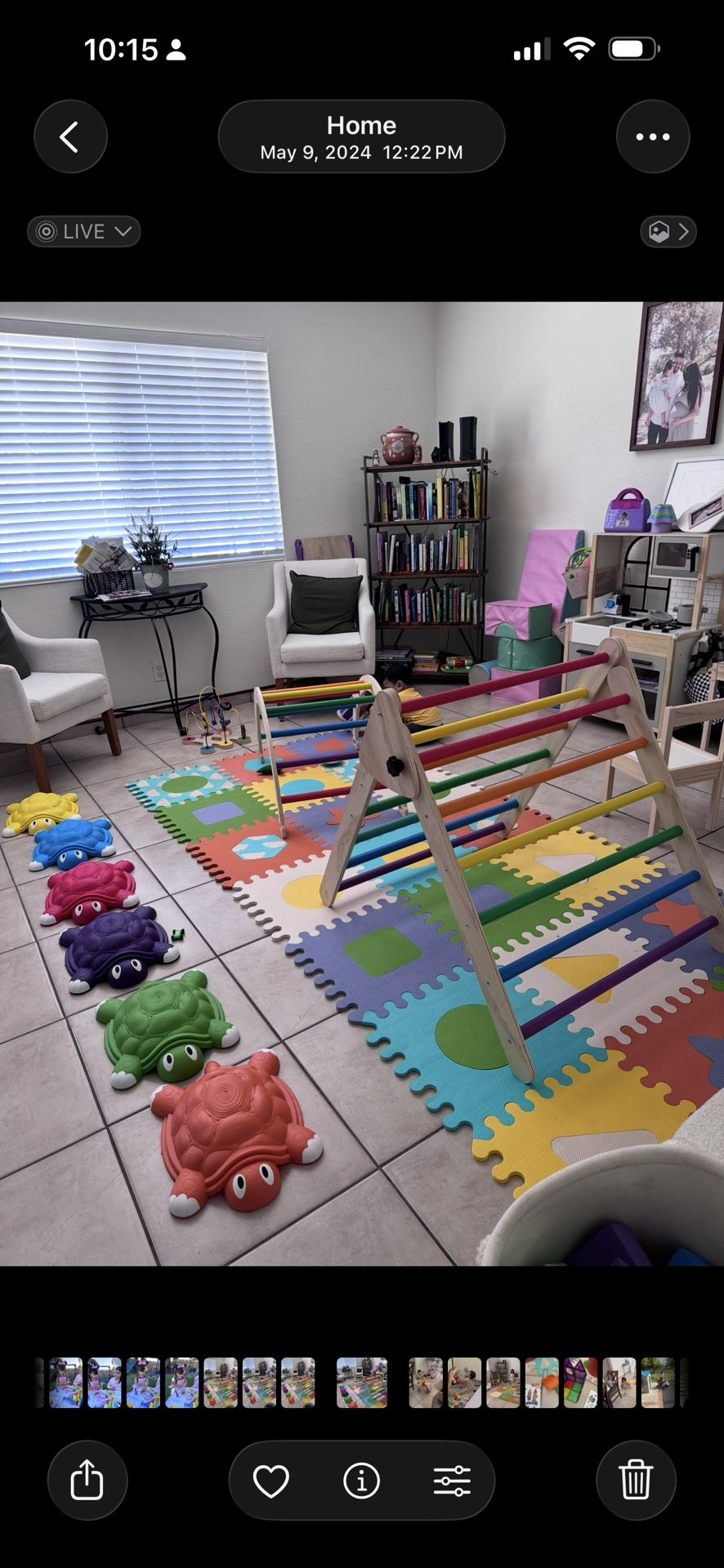 3 Piece Wooden Play Gym