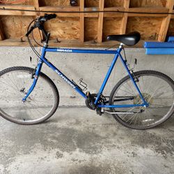 Schwinn Mirada 10 Speed