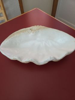 Large ceramic seashell dish