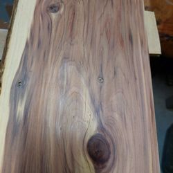 Live Edge Wood Slabs