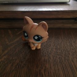 Little Cat Pet Shop