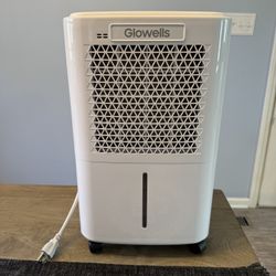 2500 Sq.Ft Dehumidifier