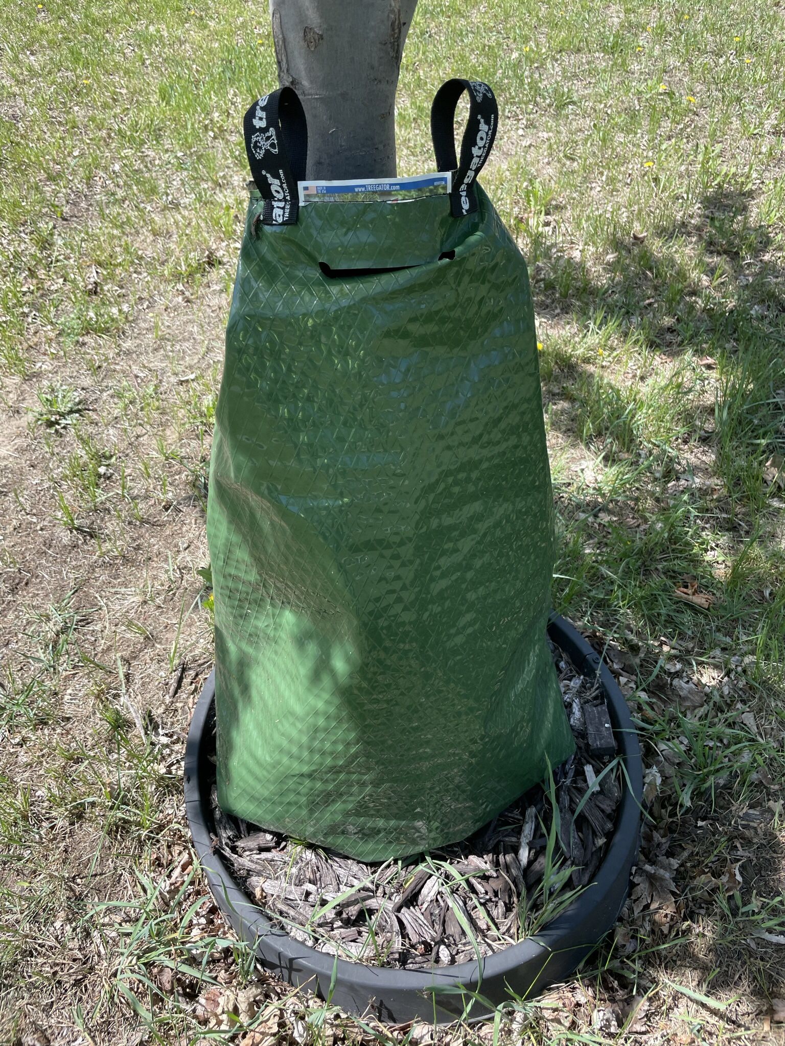 Treegator Tree Bags