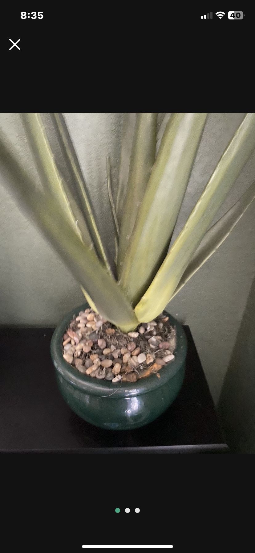 Fake Realistic Looking Aloe Vera Plant