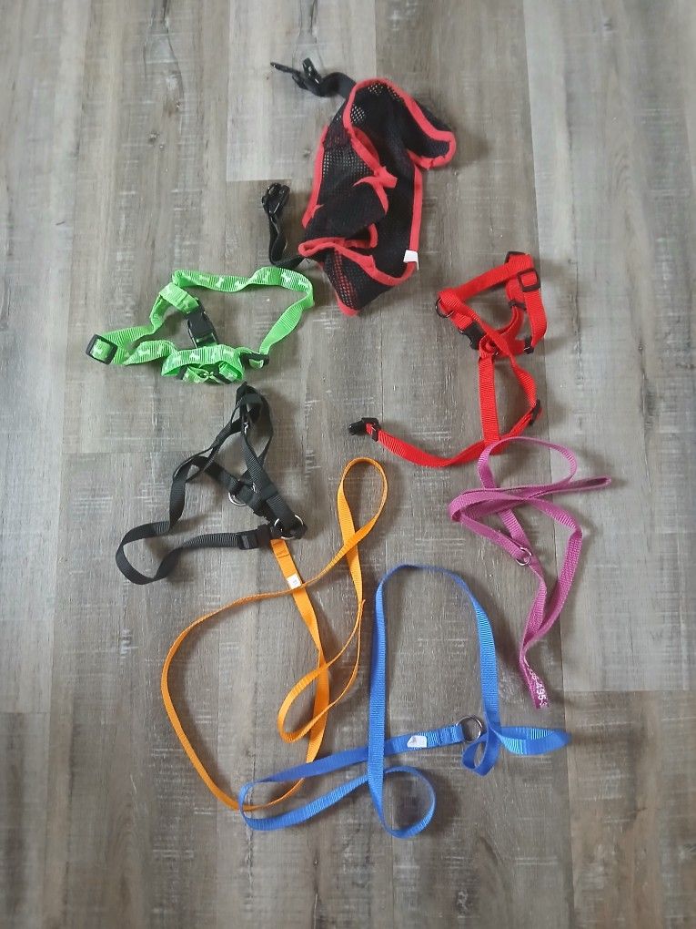 Dog Harness & Leashes