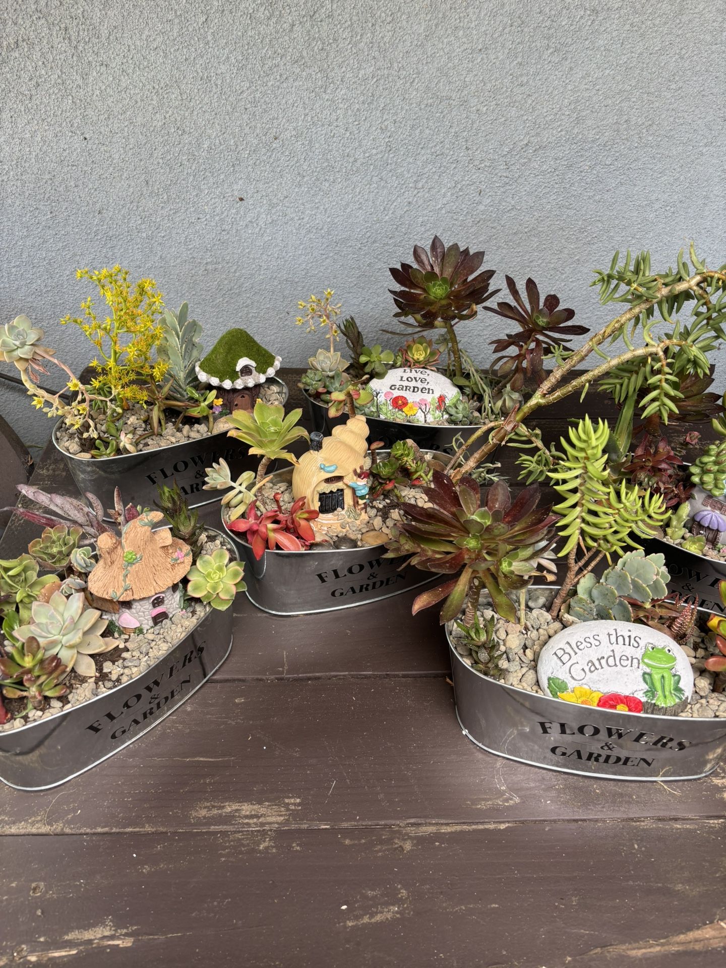 Mother’s Day succulent Arrangements