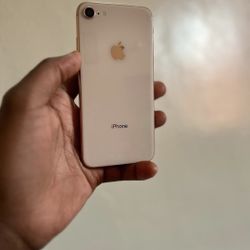 iPhone 7 Unlocked Different Colors Available 