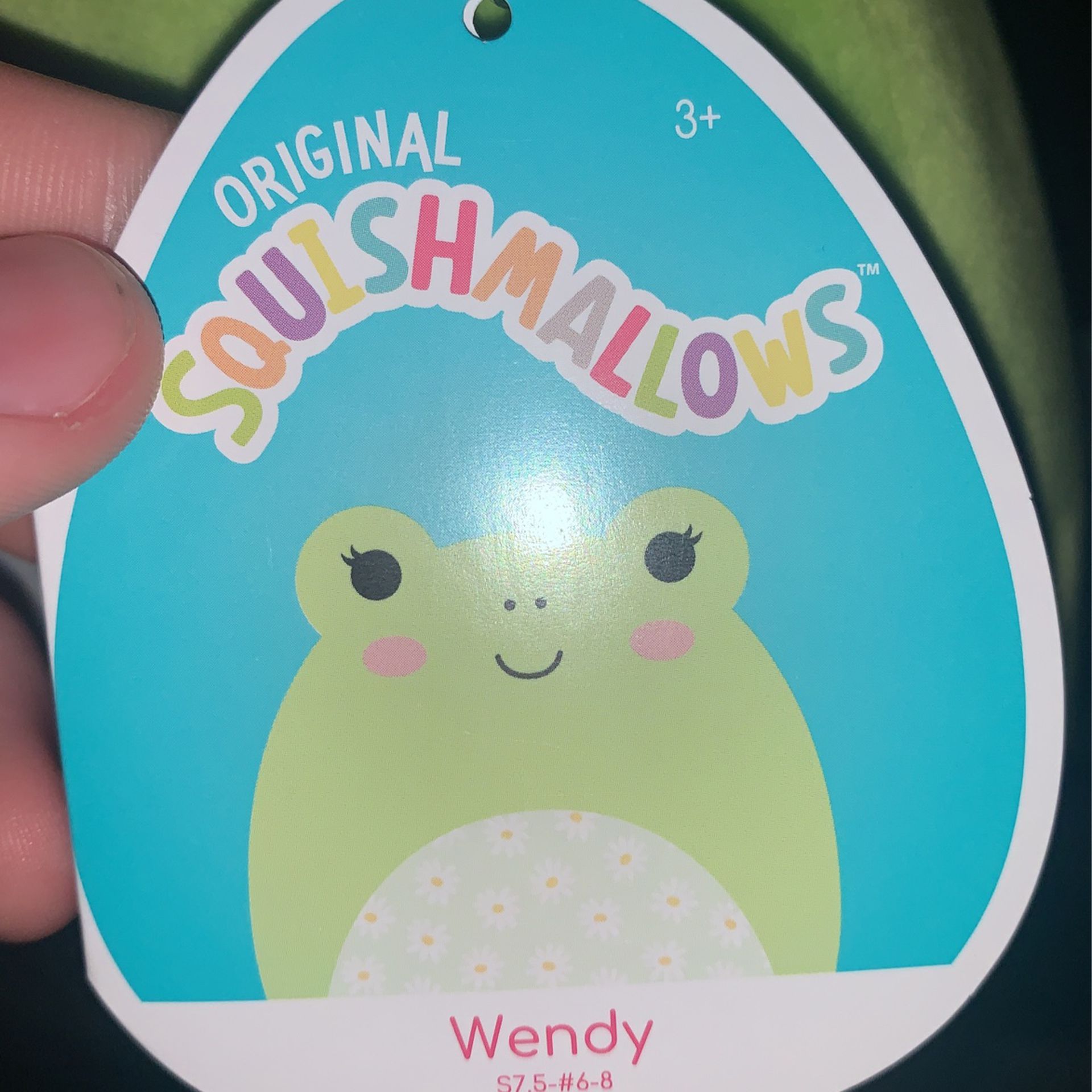 Wendy Frog 7.5in Squishmallow KellyToy for Sale in Grove City, PA - OfferUp