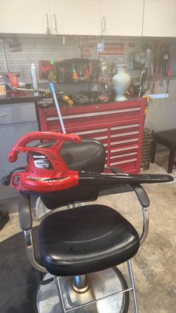 Leaf blower