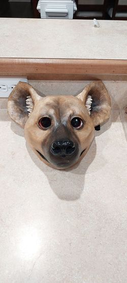 Mask