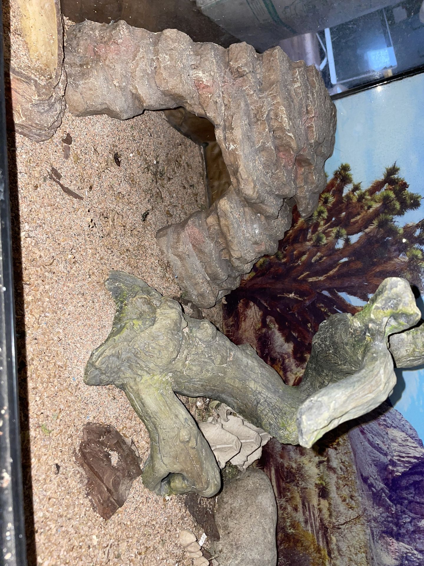 Reptile Tank