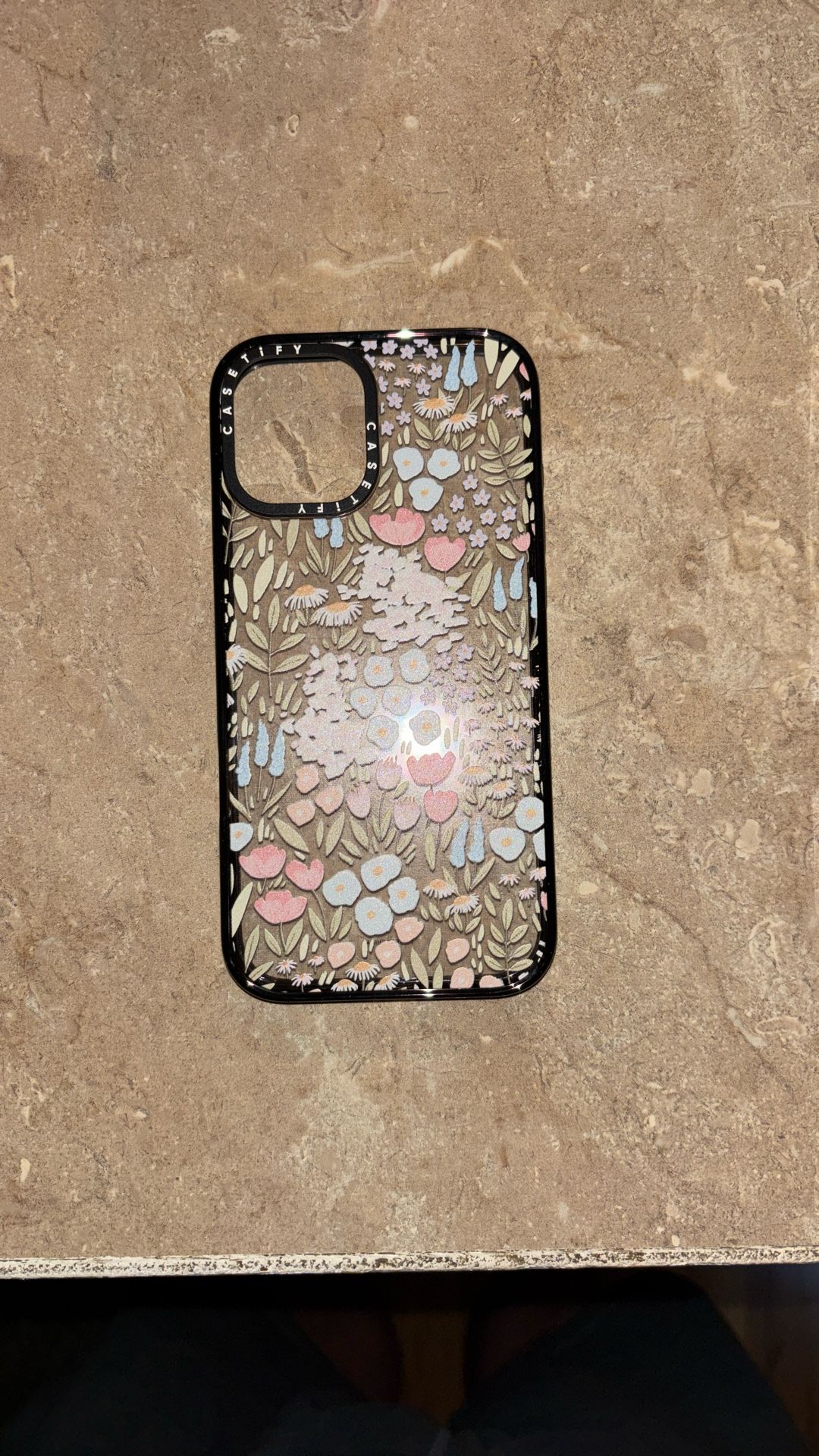 iPhone 16 Pro max Casetify Case