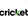 L.O.L CRICKET WIRELESS