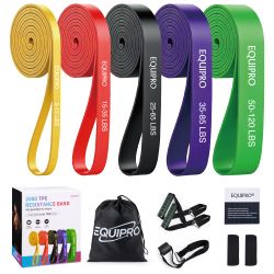 Equipro Resistance Bands, Exercise Bands, Resistance Bands for Working Out with Handles and Door Anchor, Workout Bands for Men Women with Protective S