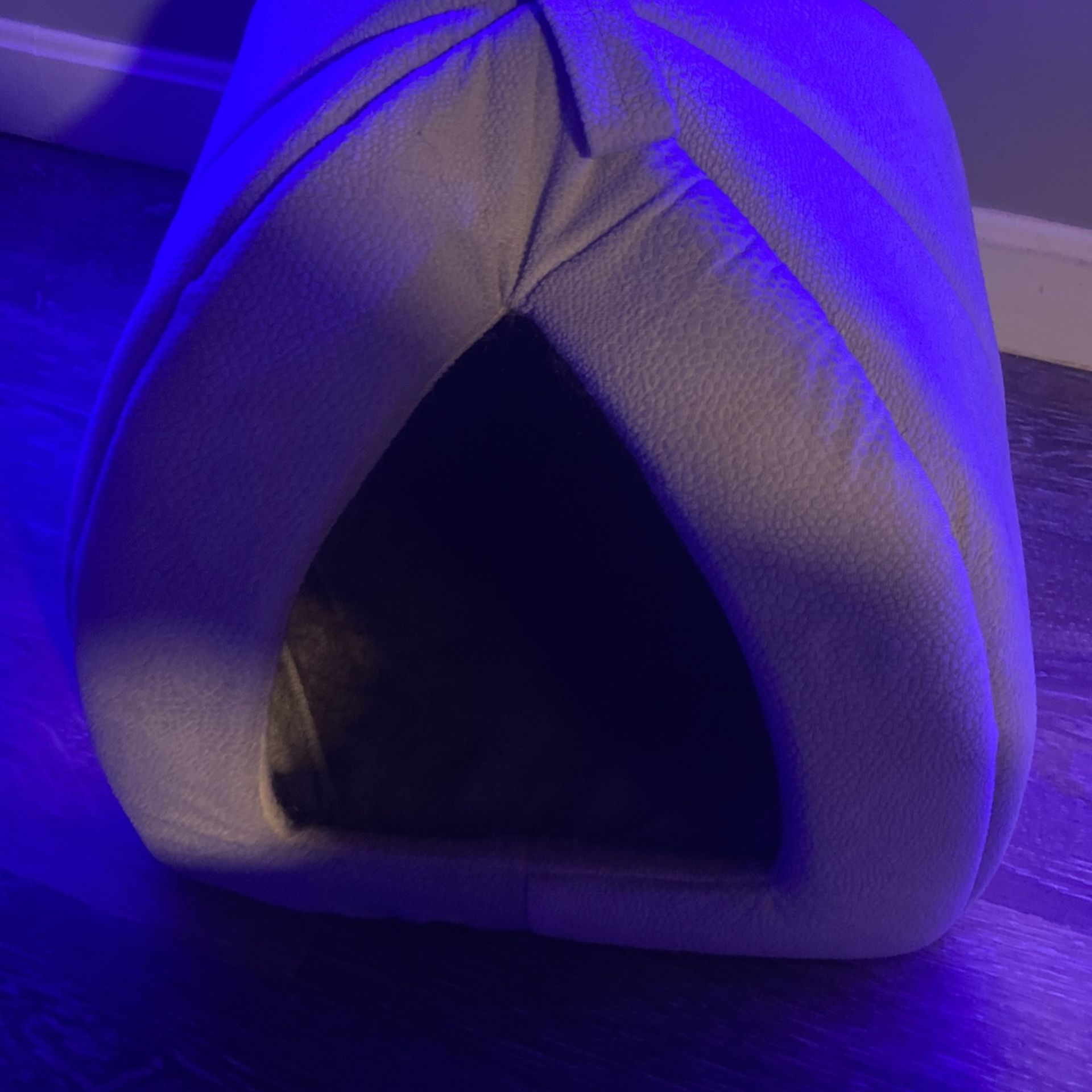 Cat/ Pet Bed