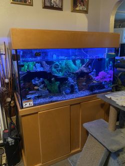 120 Gallon Fish Tank Aquarium