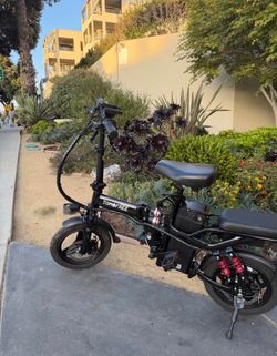 Electric Bicycle