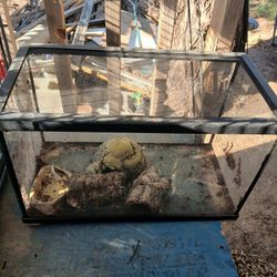 Fish / Reptile Tank With Hides 